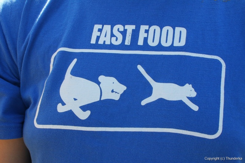 Niečo zjesť... Niečo zjesť...