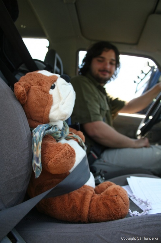 Spokojní spolujazdci... Spokojní spolujazdci...